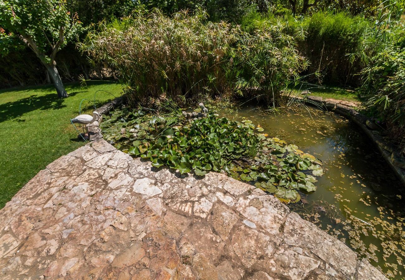 Apartamento em Lagos - Appartement met privé terras