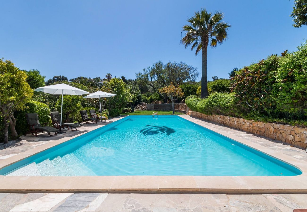 Ferienwohnung in Lagos - Appartement met privé terras