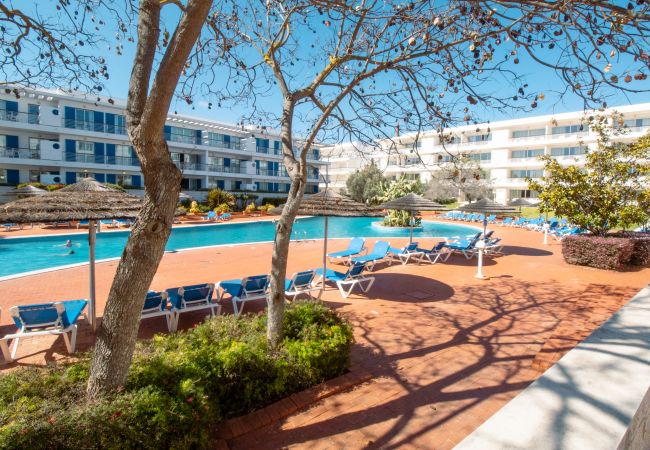 Apartment in Lagos - Apartament D. João II - A007 Apartment in Lagos - Apartament D. João II - A007