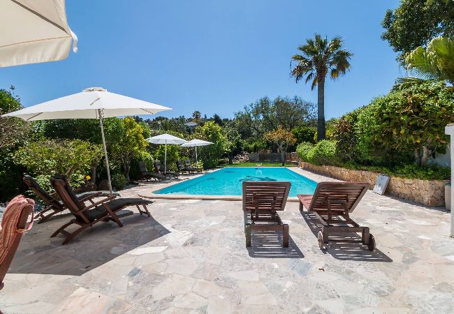 Apartment in Lagos - Appartement met privé terras