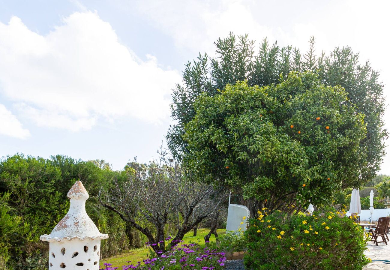 Apartment in Lagos - Appartement met privé terras