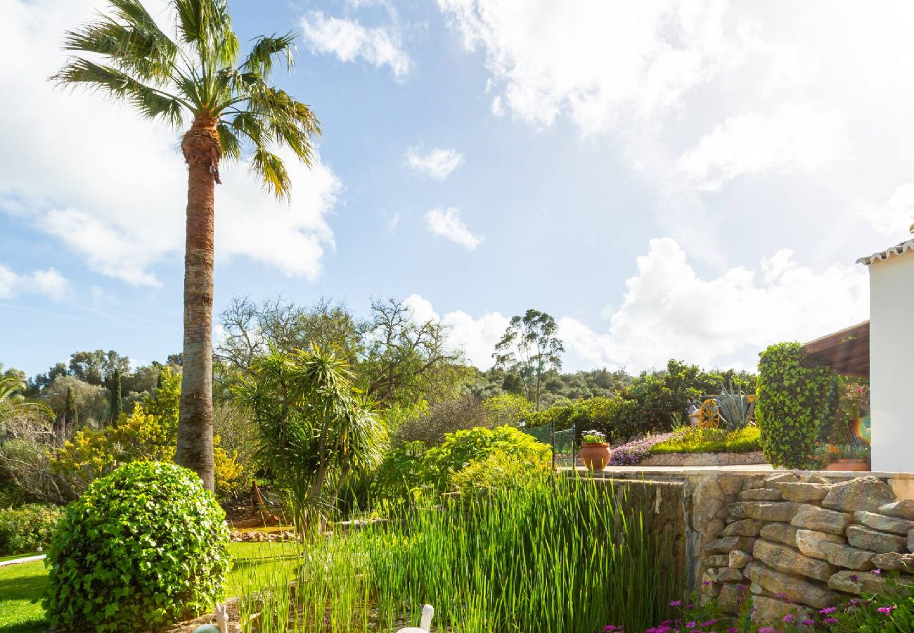 Apartment in Lagos - Appartement met privé terras