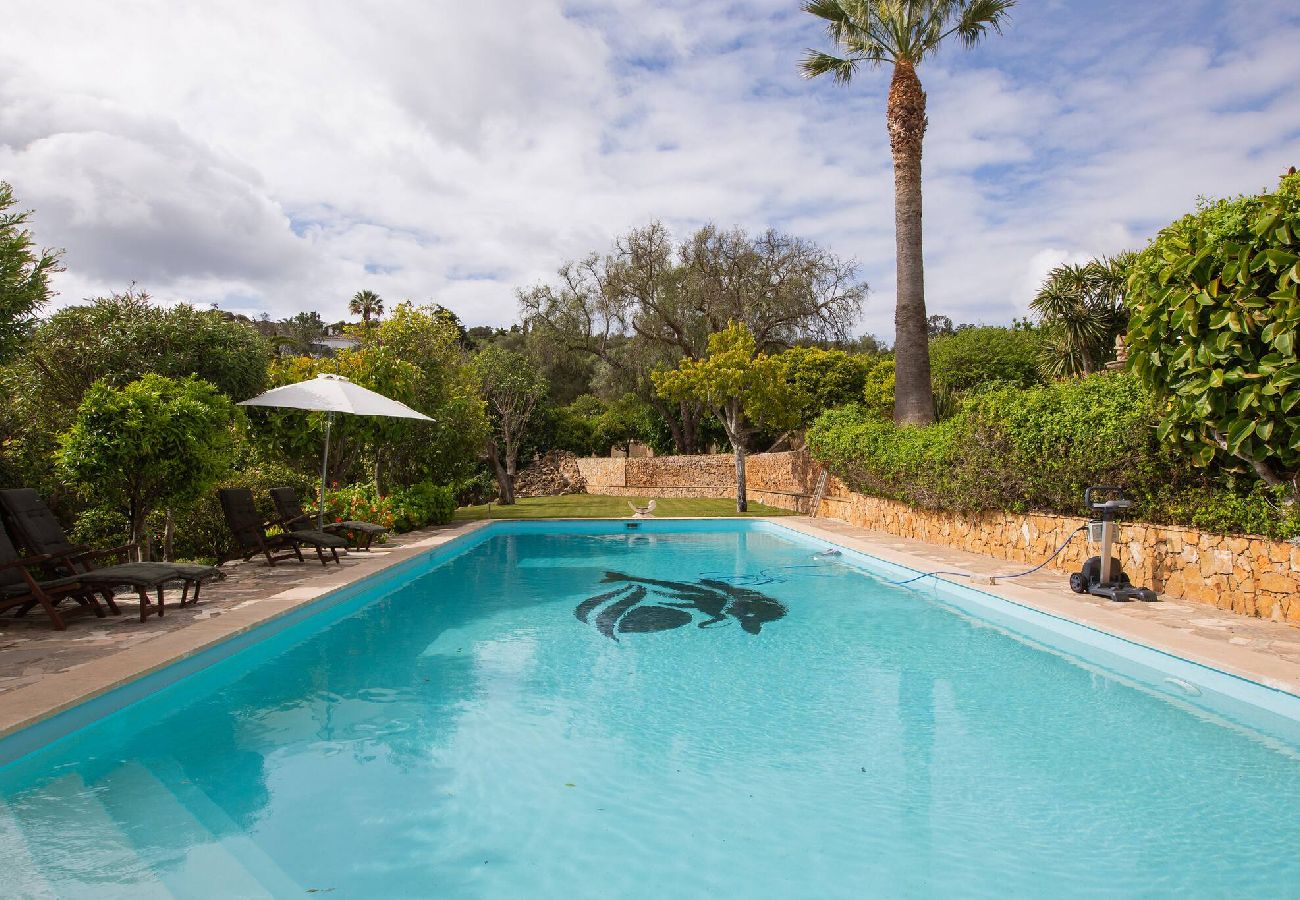 Apartment in Lagos - Vrijstaand huisje / appartement