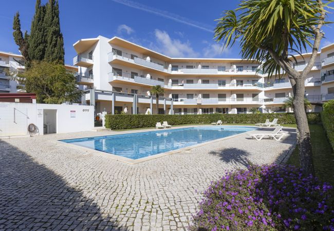 Apartamento en Lagos - Apartamento Sto. Antonio III - A048 Apartamento en Lagos - Apartamento Sto. Antonio III - A048