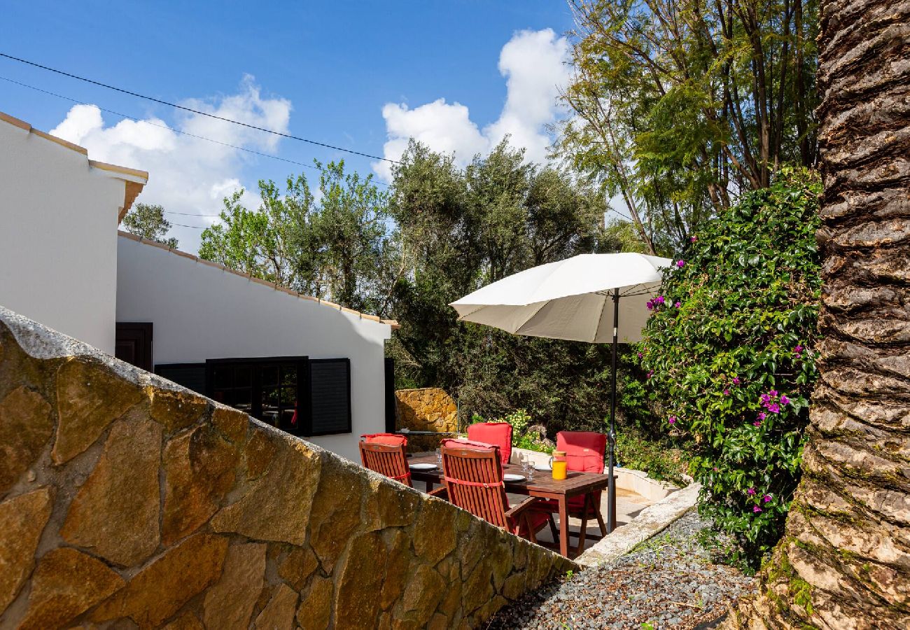 Apartamento en Lagos - Appartement met privé terras