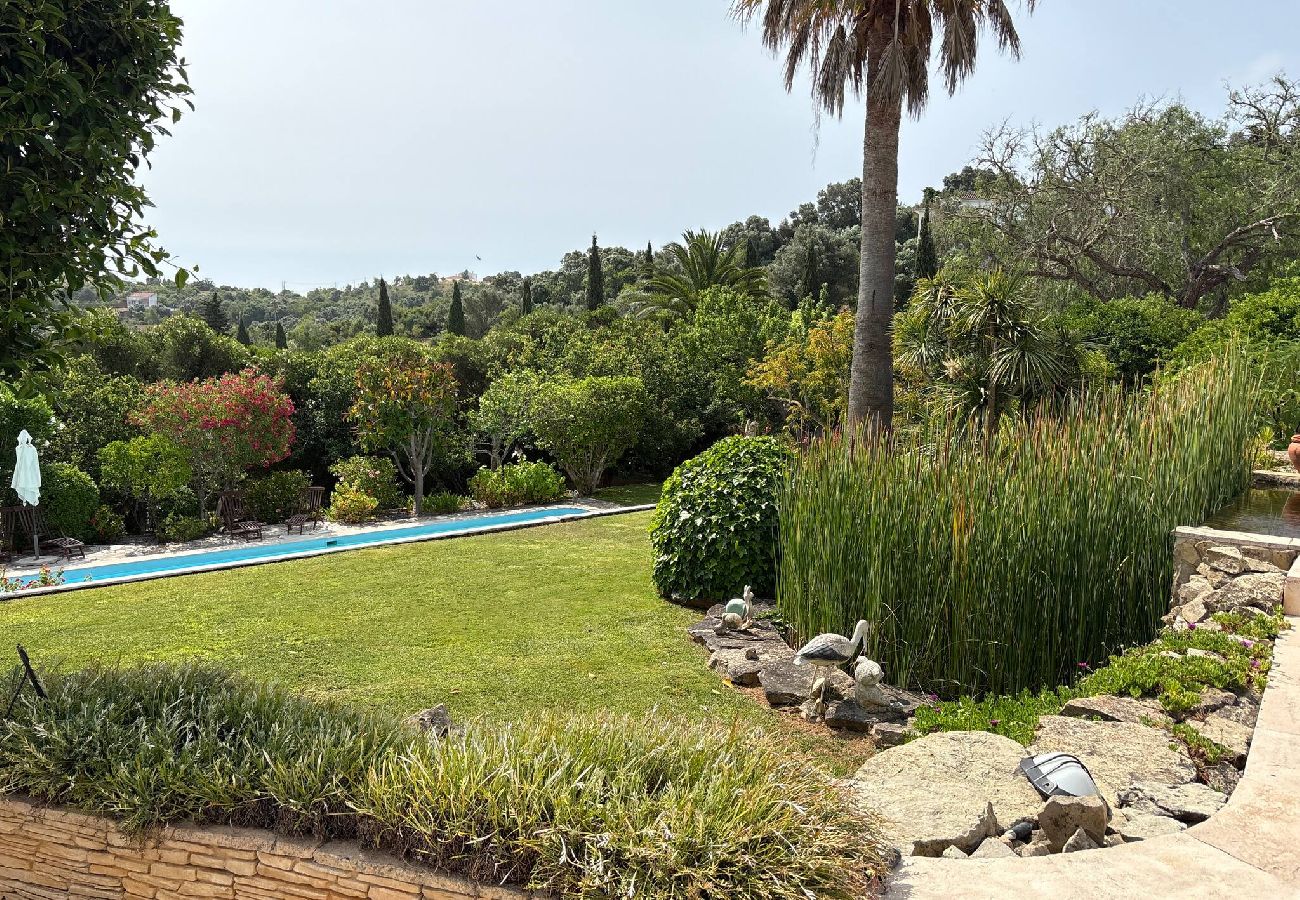 Estudio en Lagos - Pool studio