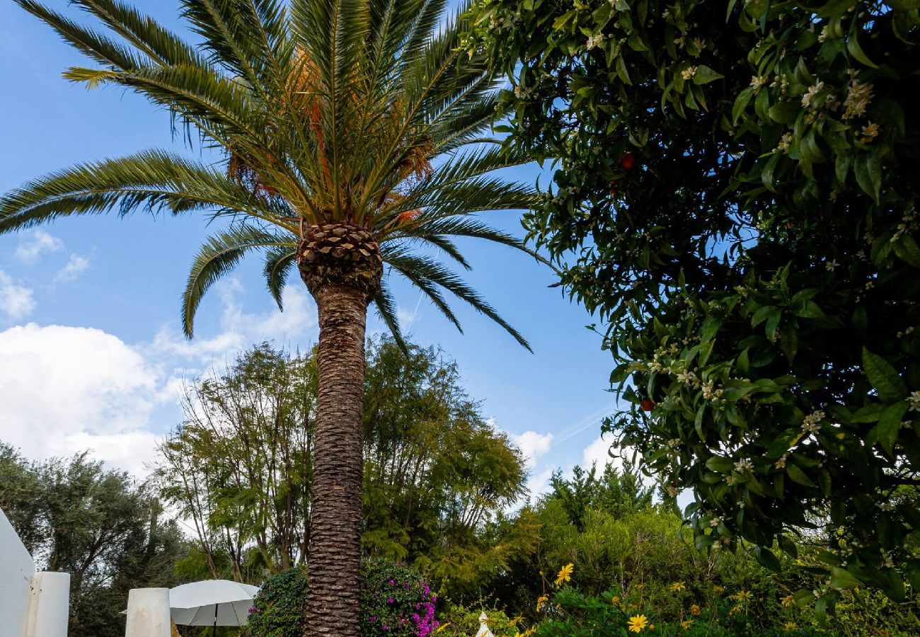 Appartement à Lagos - Appartement met privé terras