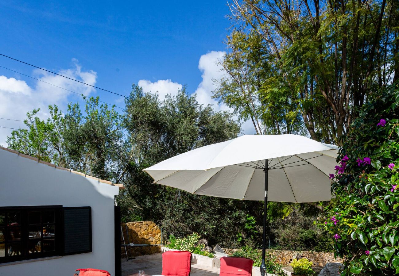 Appartement à Lagos - Appartement met privé terras