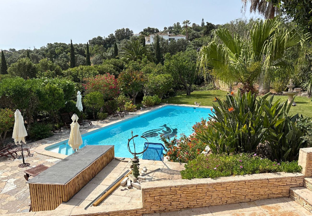 Studio à Lagos - Pool studio