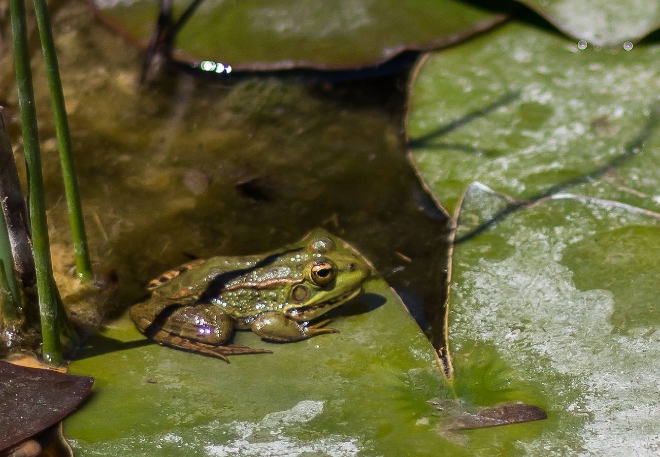 Appartamento a Lagos - Appartement met privé terras