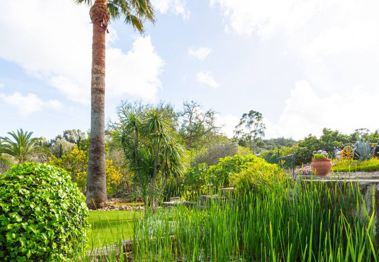 Appartamento a Lagos - Appartement met privé terras