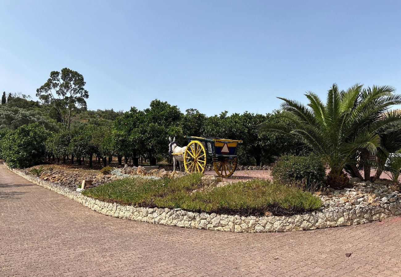 Studio a Lagos - Pool studio